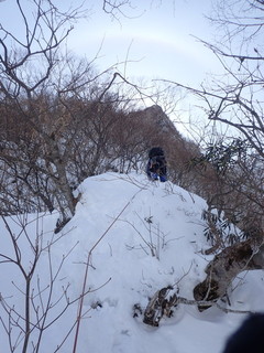 1134_P3120110.jpg