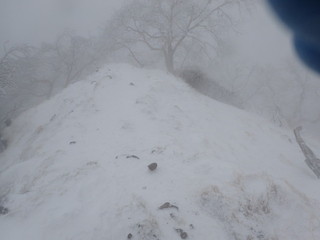 20181223-06.jpg