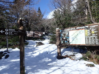 20190105-f2.jpg