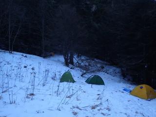 20190113-1.jpg
