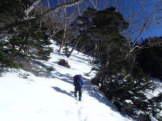 20190113-13.jpg