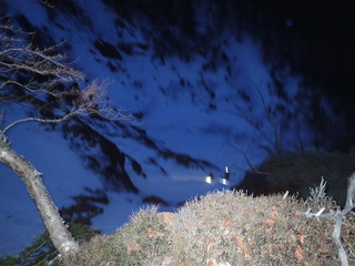 20190223-seki07.jpg
