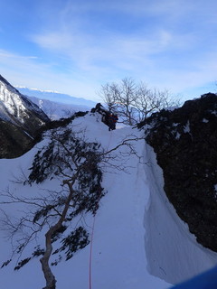 20190223-seki11.jpg