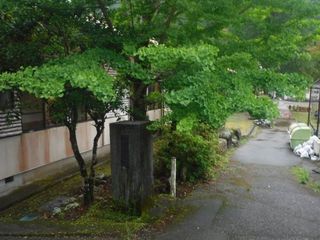 55.jpg