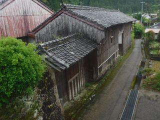 56.jpg