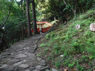 75.jpg