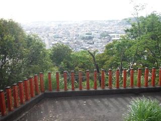 77.jpg