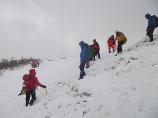 DSCF6006.jpg