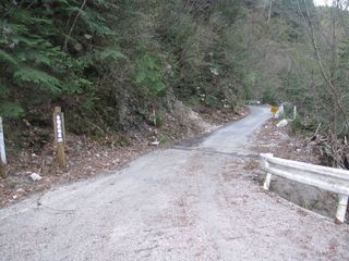 今朝沢林道.jpg