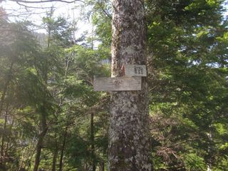 何が展望なのかわからない展望台.jpg