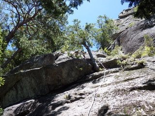 IMAGE007.jpg
