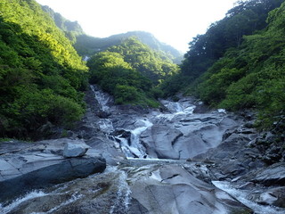 P7081375.jpg