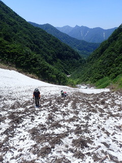 P7081429.jpg