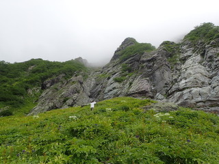 P7281165.jpg
