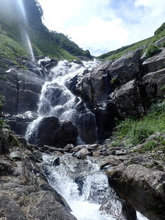 P8191584.jpg
