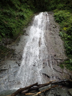P8281688.jpg
