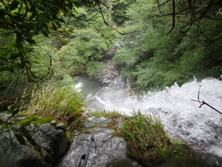 P8281727.jpg