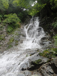 P8281739.jpg