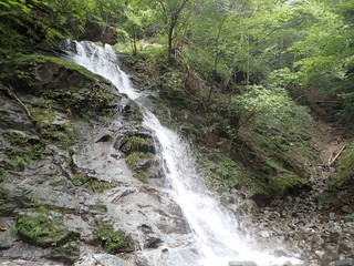 P8281745.jpg