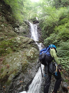 P9011805.jpg