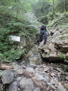 P9011818.jpg