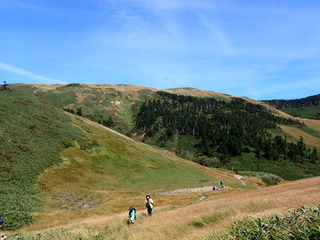 PA012819.jpg
