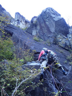 PA071930.jpg