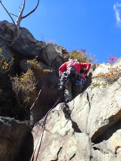 PA071946.jpg