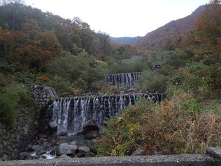 PA282862.jpg