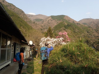 fujisiro14.jpg