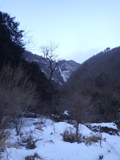 senba0210-2.jpg