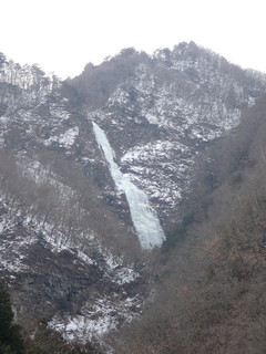 senba0210-9.jpg